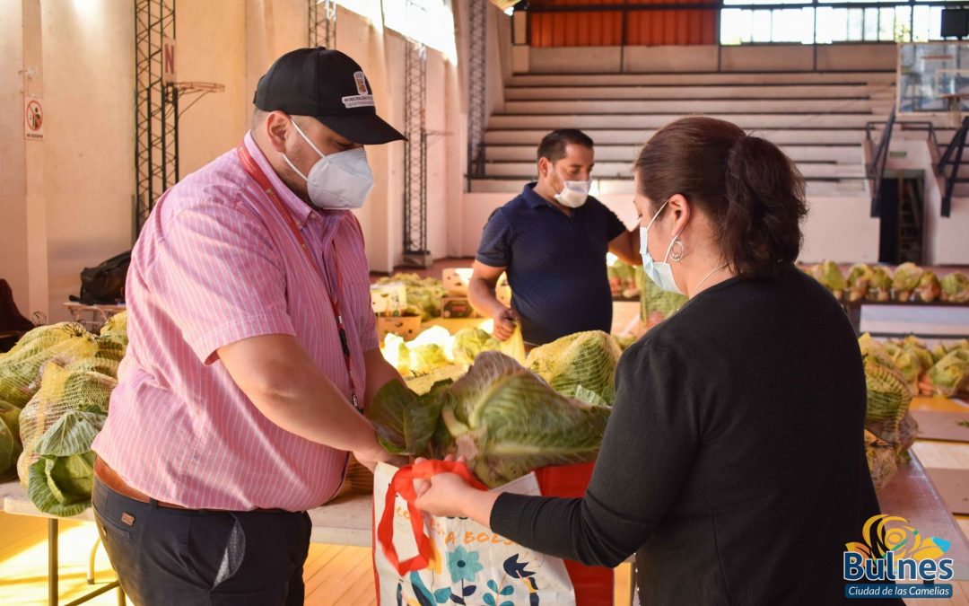 280 canastas con alimentos saludables entregaron a sectores urbanos de Bulnes